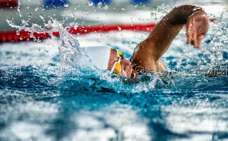 3377.体育网站平台登录壹网壹创鲁菲：足球运动员个人资料、生涯经历及荣誉介绍