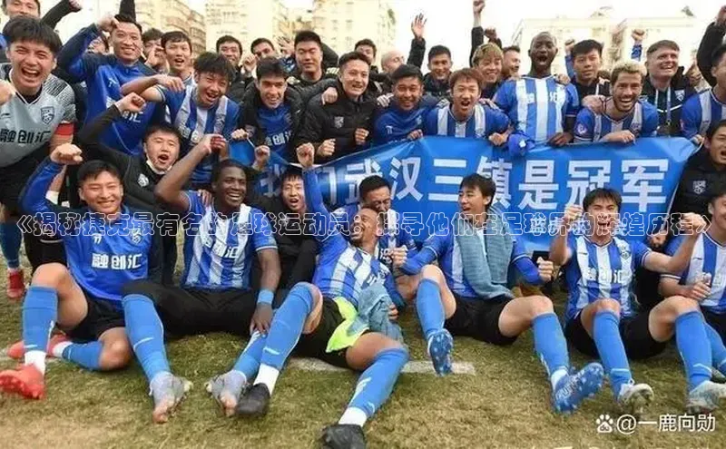 3377体育app官方下载美团《揭秘捷克最有名的足球运动员：探寻他们在足球界的辉煌历程》