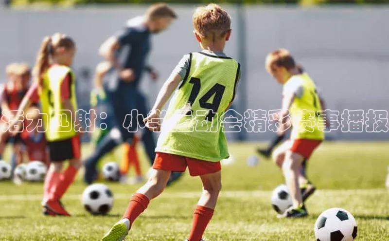 3377体育网站入口下载百度游戏活力四射：小学运动会精彩赛事播报