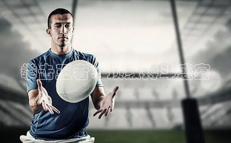 3377体育网站入口下载同程拳击王者：顶级搏斗盛宴