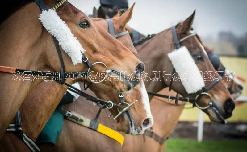 冰雪盛宴：2024冬奥会比赛规则与赛事组织细节