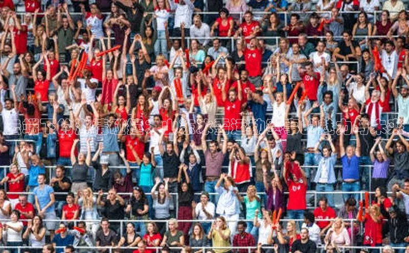 云端下的激情碰撞：山东冰雪运动赛事的魅力与未来