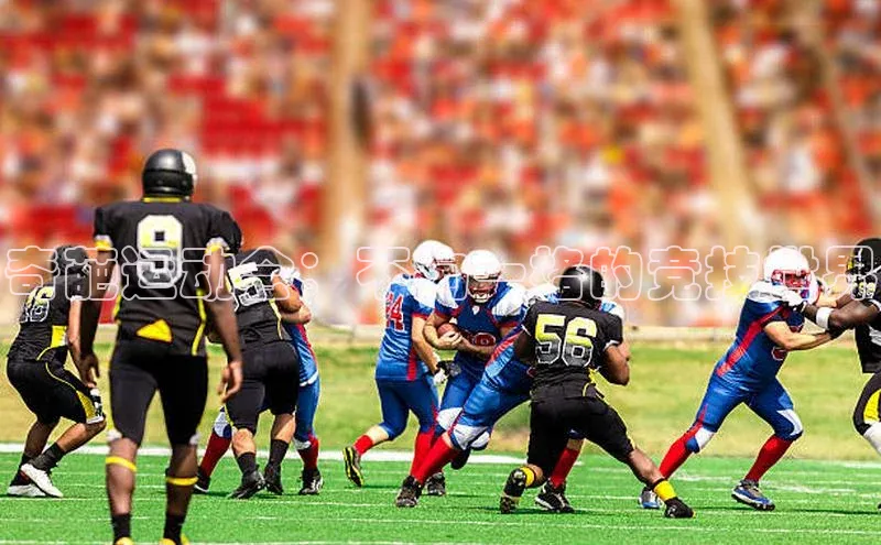 奇葩运动会：不拘一格的竞技世界