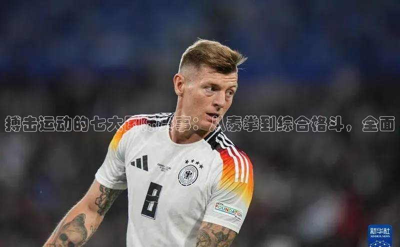 搏击运动的七大国际赛事：从泰拳到综合格斗，全面