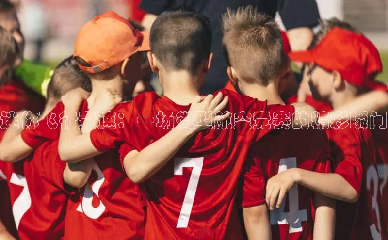 迷你飞行竞速：一场微型航空竞赛的精彩瞬间