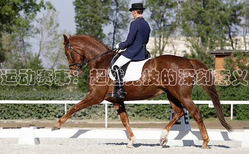 运动赛事：超越竞技的深刻意义