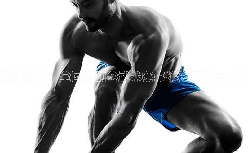 辉煌篇章：全国运动会武术赛事精彩回顾与展望