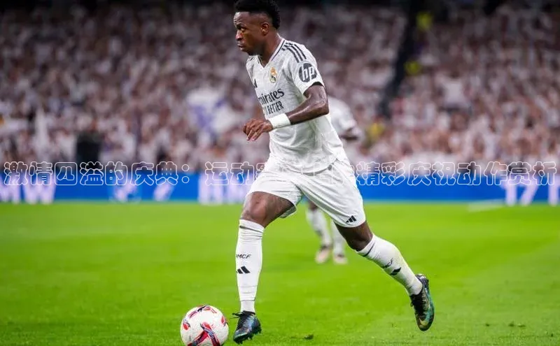 3377体育网页入口