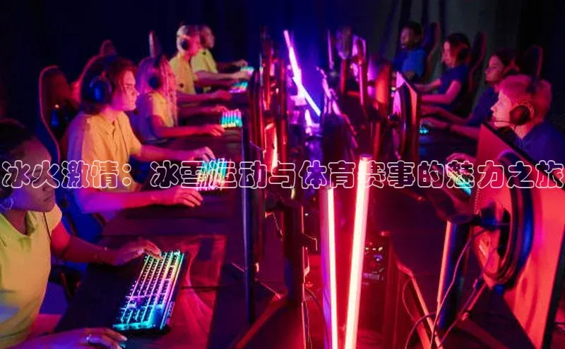 3377体育app登录入口