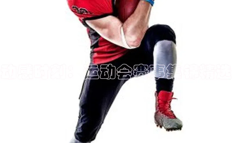 3377体育官网下载