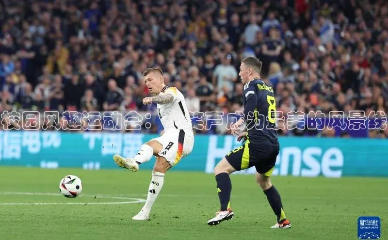 3377体育网页入口