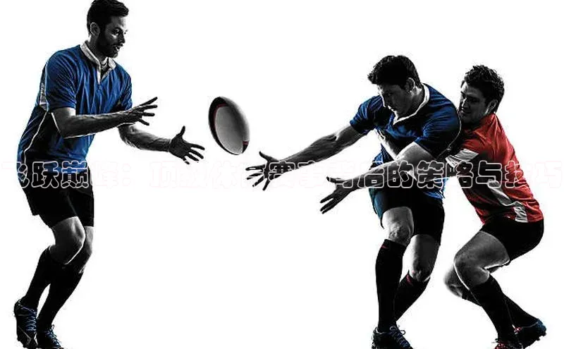 3377体育网页入口