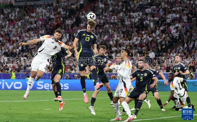 3377体育app登录入口手机版