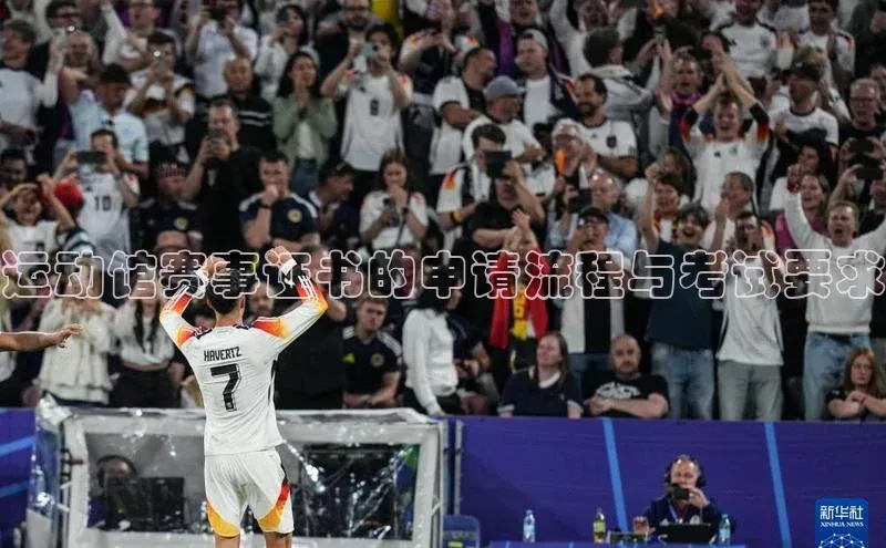 运动馆赛事证书的申请流程与考试要求