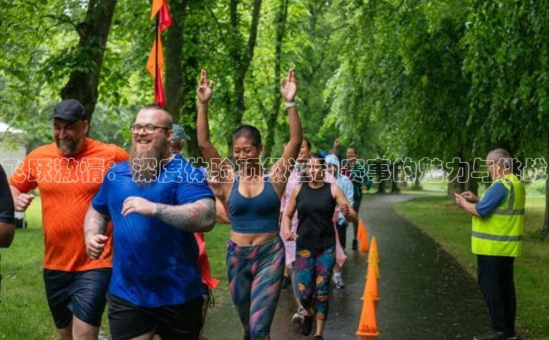 3377体育app官方下载