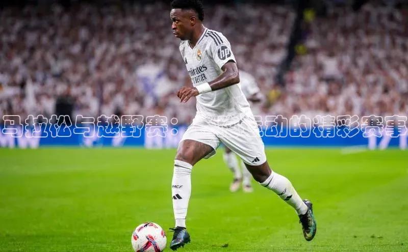 3377.体育网站平台登录