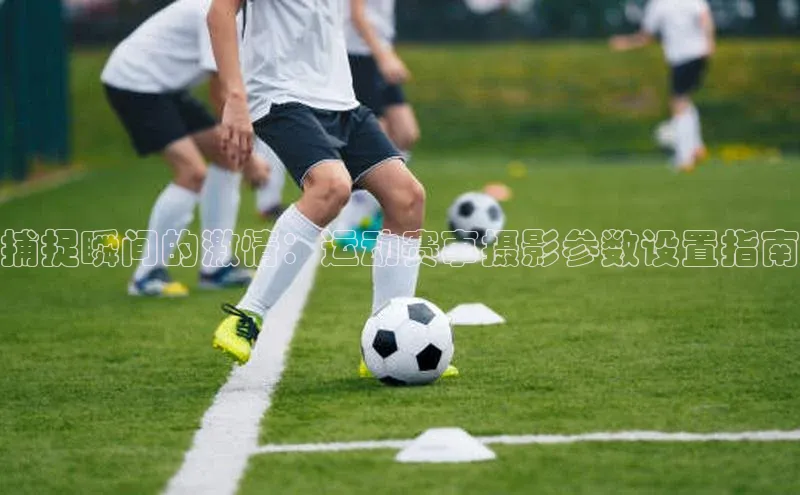 3377体育网站入口下载