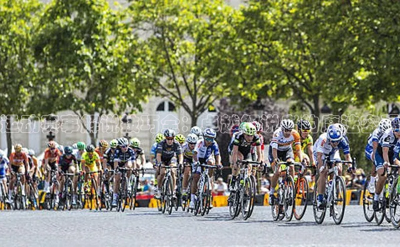 3377体育app登录入口手机版