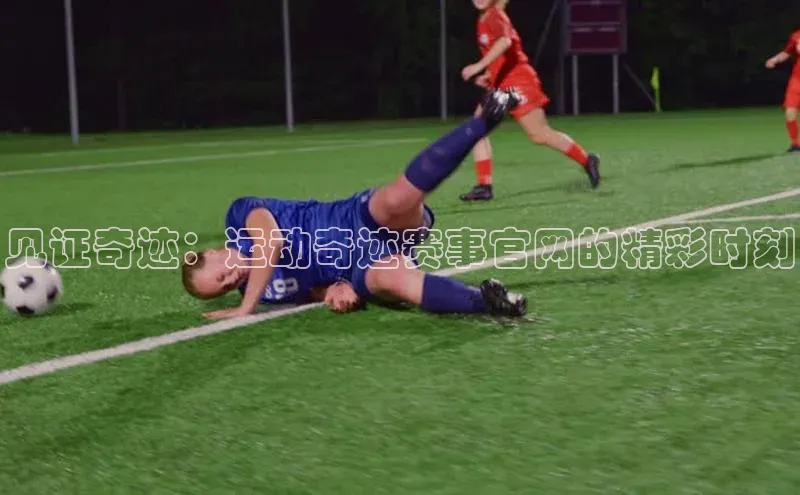 3377体育官网入口网页版