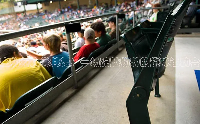 3377.体育网站平台登录