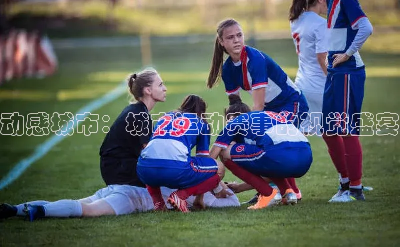 3377体育网站平台登录