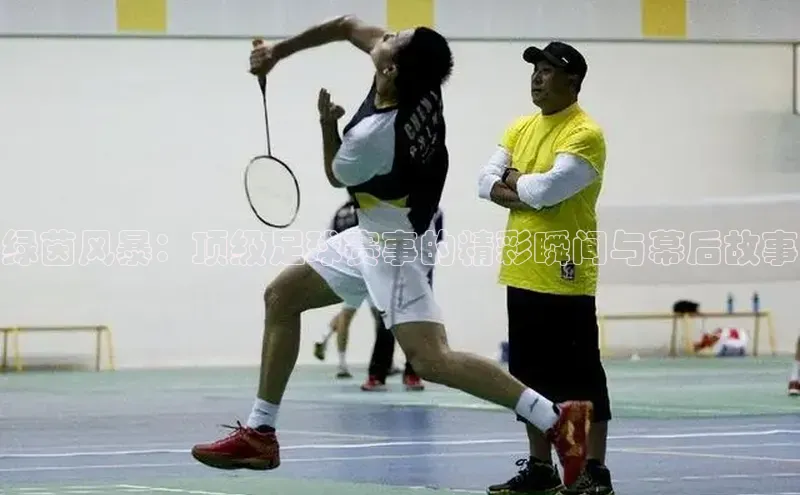 绿茵风暴：顶级足球赛事的精彩瞬间与幕后故事