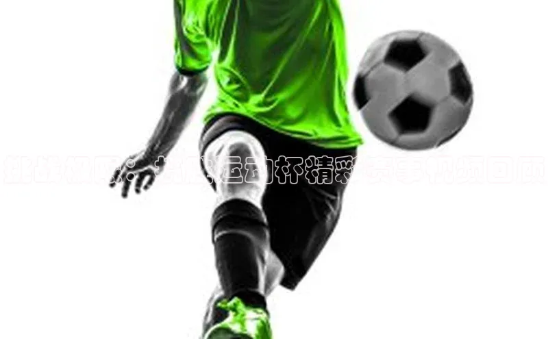 挑战极限：揽胜运动杯精彩赛事视频回顾